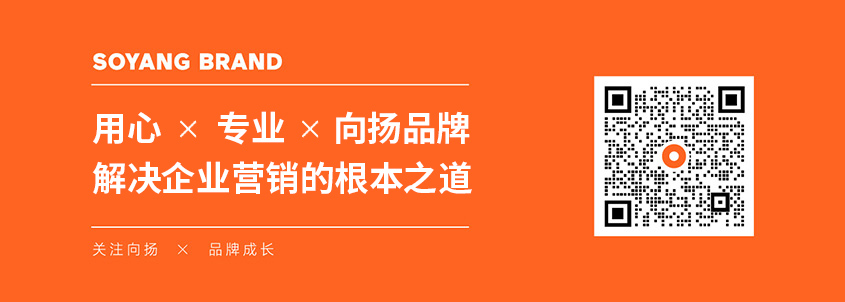 向揚品牌深圳品牌營銷策劃公司.jpg